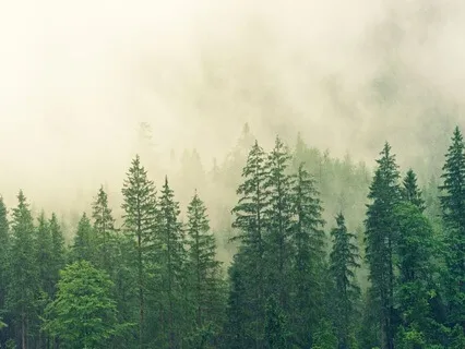 SOS - Anxiety Relief With Sensation Scan