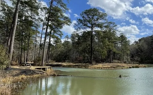 Anxiety Reset: 4-7-8 Breath