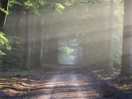 Anxiety Reset Meditation: Deep Relaxation For Calm