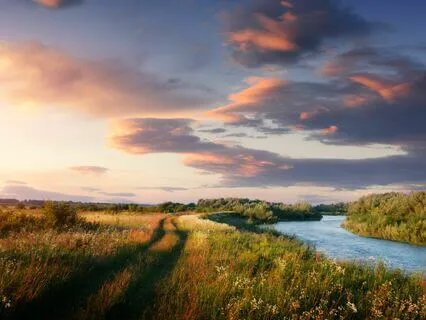 Anxiety Soother: Gentle Melodies For Peace