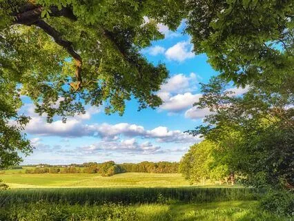 Anxiety Soother: Shamanic Inner Peace