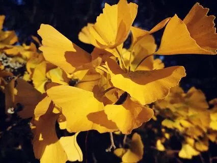 Anxiety & Stress - Grounding Story - Nervous System Calming