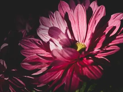 Anxiety: Words Of Comfort For Difficult Moments