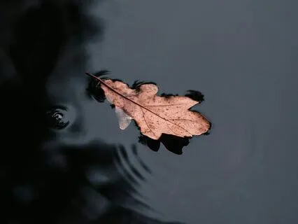 Anxiety & Worry Release Relaxation