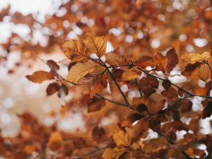 Anxious Body: A Body Scan Meditation Practice To Embody Ease