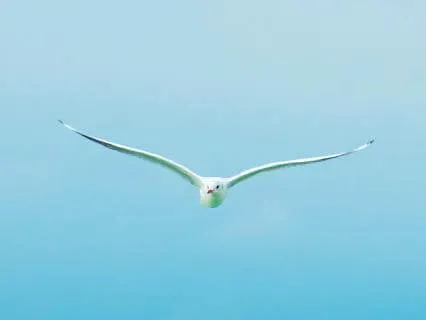 Anyatva — Who Is Mine? | A Meditation On Inner Freedom