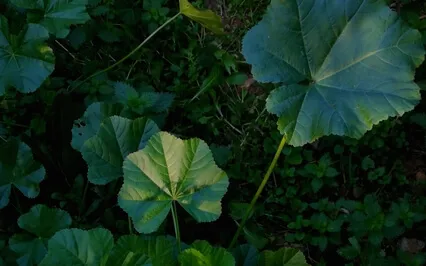 Anybody Else Feeling Lost?