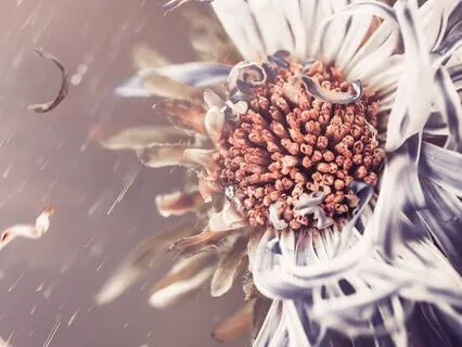 Anyone Else Tired Of Being Broken