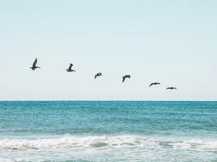 Anything Goes - Spoken Word Bhakti