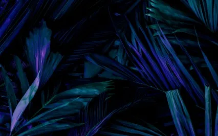 Anything Is Possible, Manifest Any Dream