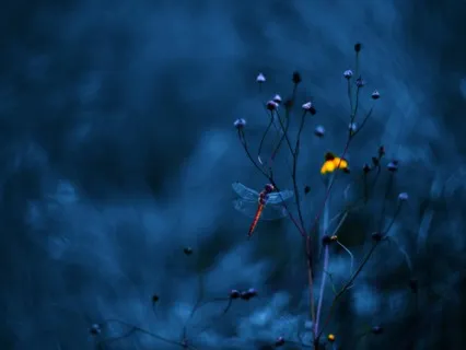 Anything Is Possible, Sleep & Manifest Miracles, Meditation