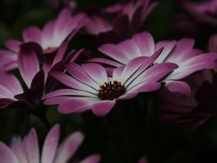 Anytime Gratitude Meditation W/breathing To Boost Your State