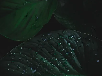 Anytime Relaxing Piano With Thunderstorms & Raindrops