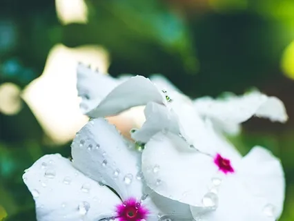 Anywhere, Anytime | Short Guided Meditation