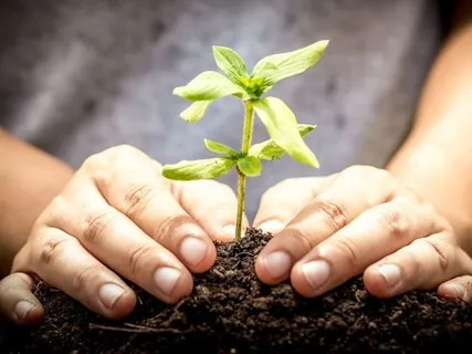 Ao Encontro do Agradável
