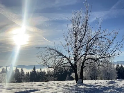 Aparigraha (Non-Greed)