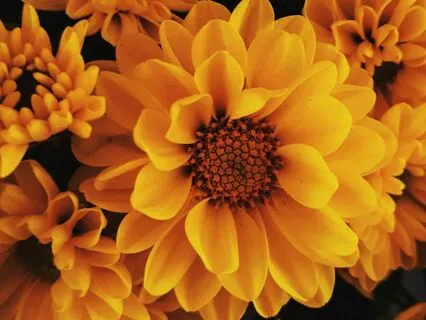 Aparokshanubhuti: Direct Knowledge Of The Self