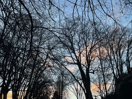 Apathy - Responding With Prayer