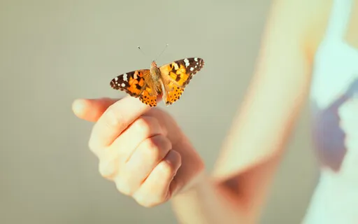 Aphantasia & Astral Projection