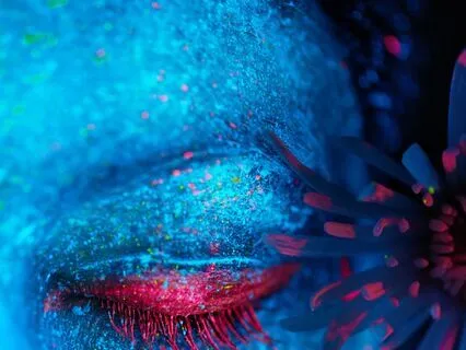 Apocalypse Revisited -- The Seven Seals Of Kundalini