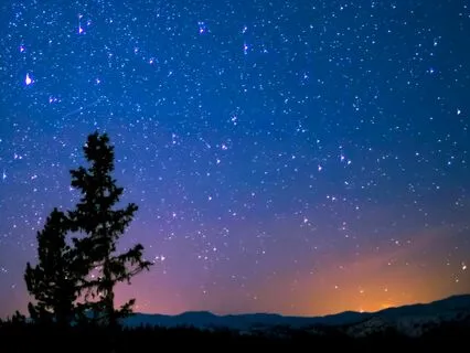 Apologizing For Everything