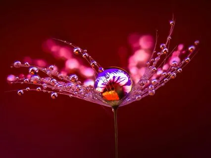 Appreciating The Richness Of Your Experience