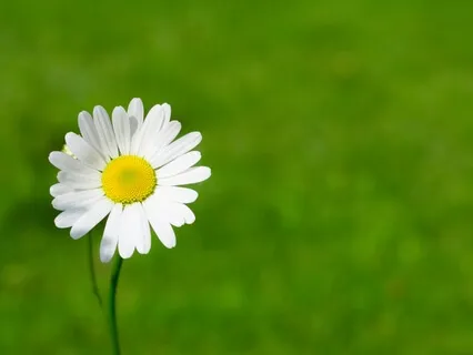 Apply Wisdom Amid Suffering Is Vishad Yoga