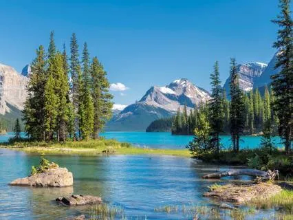 Appreciate Everything – In 2 ½ Minutes