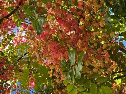 Appreciating Challenges With Soul Searching