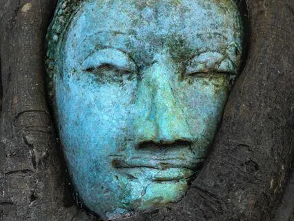 Appreciating Our Interconnected Nature