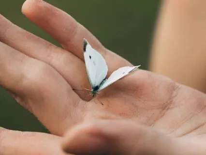 Appreciating Our Senses