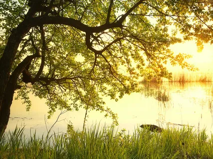 Appreciating The Air I Breathe 