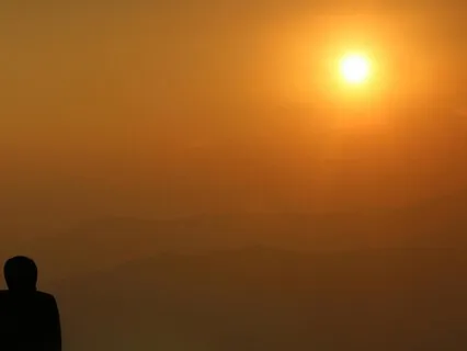 Appreciating The Ankle