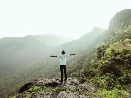 Appreciating The Back