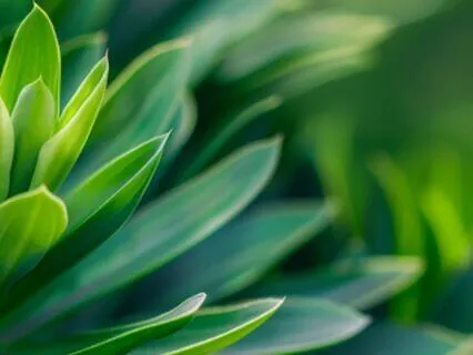 Appreciating The Little Things