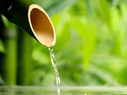 Appreciating What Is