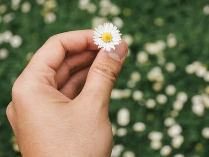 Appreciating Your Kidneys