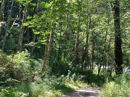 Appreciation For Living Systems