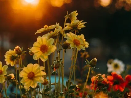 Appreciation For The Little Things