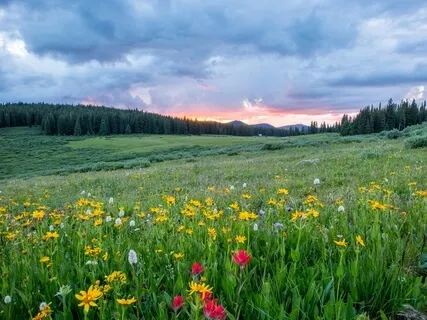 Appreciation For Your Day 