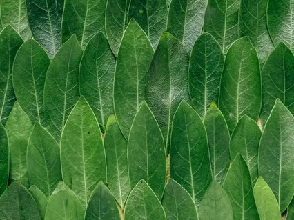 Short Appreciation Practice