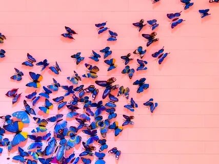 Appreciation - "Meditations For People Who Do Too Much"