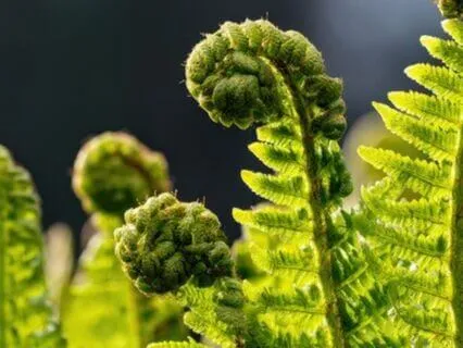 Appreciation - Power Punch