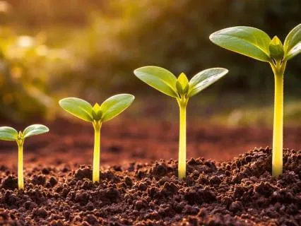 Appreciation Practice