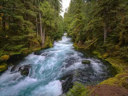 Appreciations & Affirmations - Your Best Wednesday