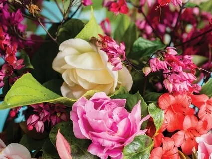 Appreciative Joy Practice