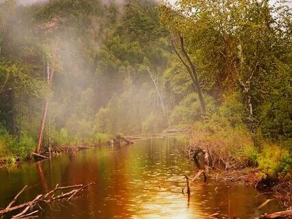 Approaching Thunder In The Jungle For Nice Sleep