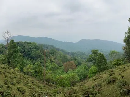 April (5hz Binaural, 100hz Base)