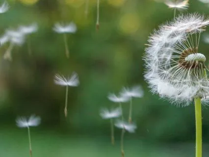 April - Discernment, Clear Thinking, Measured Action