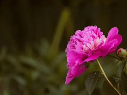 April Full Moon In Libra: Clarity & Alignment Activation